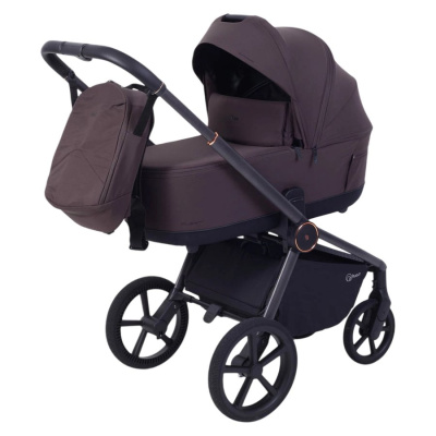 Коляска 2 в 1 Rant Flex Soft Therm RA112 Shine Brown 01
